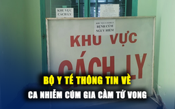 Bệnh nhân nhiễm cúm gia cầm tử vong: Có thể lây từ chim hoang dã?