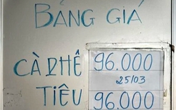 Bất ngờ hồ tiêu và cà phê ngang giá nhau