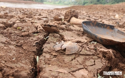 Đắk Nông: Nông dân 'bất lực' nhìn vườn cà phê vàng úa do thiếu nước