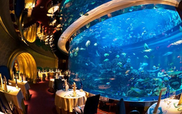 Du lịch Dubai với những nhà hàng dành cho giới thượng lưu