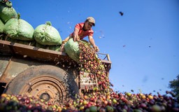 Giá hàng loạt nông sản tăng kỷ lục