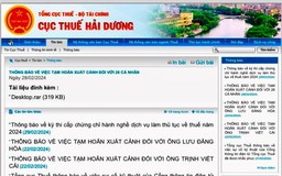 Hải Dương đề nghị hoãn xuất cảnh 28 giám đốc doanh nghiệp nợ thuế