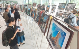15 tác phẩm đoạt giải thưởng Liên hoan ảnh nghệ thuật khu vực Nam Trung bộ và Tây nguyên