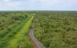 Cà Mau: Hơn 92.760 ha diện tích đất có rừng