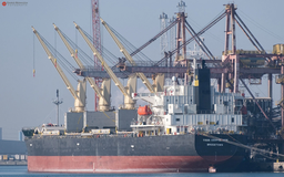 Vụ tàu trúng tên lửa ở biển Đỏ: Khẩn trương đưa thuyền viên Việt Nam gặp nạn về nước