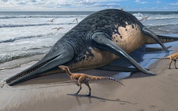 Phát hiện hóa thạch bò sát biển khổng lồ chưa từng thấy