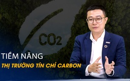 Vấn đề và Giải pháp: Tiềm năng của thị trường tín chỉ carbon ở Việt Nam