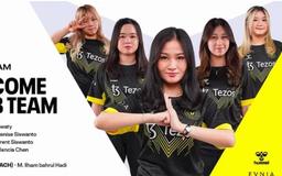 CLB eSports Team Vitality mua đội nữ thi đấu EWC