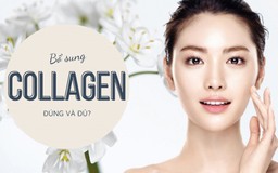 Collagen là gì? Tiêu chí lựa chọn collagen hiệu quả mà không gây nóng, không tăng cân 