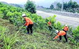 Masan High-Tech Materials chọn công nghệ mới, tiên tiến nhất để sản xuất xanh