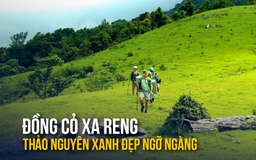 Xiêu lòng đồi cỏ Xa Reng đẹp như phim: Mê trekking, cắm trại không thể bỏ lỡ