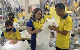 Việt Nam dẫn đầu ASEAN xuất khẩu hàng hóa sang Mỹ