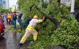 Nhiều cây xanh ở trung tâm TP.HCM ngã chắn giữa đường sau mưa lớn