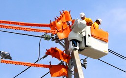 Công ty Điện lực Ninh Thuận: Đưa đội thi công sửa chữa Hotline 22kV vào hoạt động