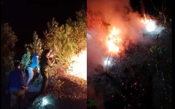 Hàng trăm người nỗ lực dập tắt vụ cháy rừng trong đêm