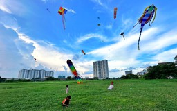 Bãi thả diều 'cực chill' giữa đồng cỏ xanh ở TP.HCM