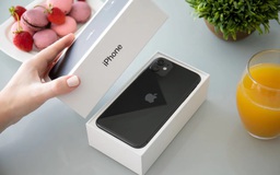 Người tiêu dùng đang chuộng mua iPhone đời cũ