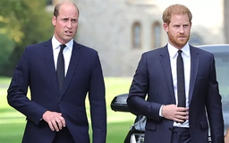 Hoàng tử Harry và William tránh nhau tại đám tang người thân