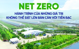 NET ZERO: HÀNH TRÌNH CỦA NHỮNG GIÁ TRỊ KHÔNG THỂ ĐẶT LÊN BÀN CÂN VỚI TIỀN BẠC