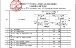 TP.HCM: 85 trường ngoài công lập được giao chỉ tiêu tuyển sinh lớp 10 năm học 2024-2025