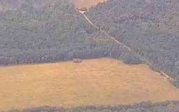 ISW: Lực lượng Ukraine tiến sâu ‘đến 10 km’ vào lãnh thổ Nga