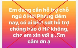 Hải Phòng bác thông tin 'công nhân bị công ty bắt về khi bão đổ bộ'