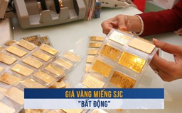 Biến động vàng ngày 12.9: Giá vàng miếng SJC 'bất động'