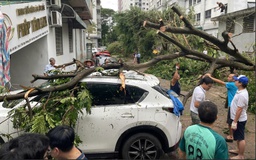 Hà Nội miễn, giảm nhiều loại thuế cho người gặp khó khăn do bão Yagi