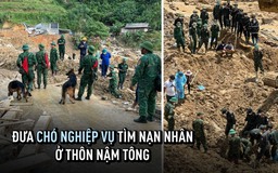 Sạt lở thảm khốc ở Nậm Tông (Lào Cai): Đưa chó nghiệp vụ tìm người mất tích