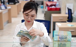 Giá USD hôm nay 17.9.2024: Đô tự do giảm xuống còn 25.000 đồng