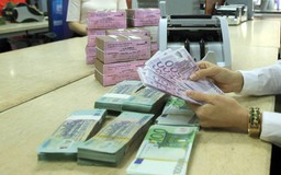 Giá USD hôm nay 18.9.2024: Rớt xuống dưới 25.000 đồng