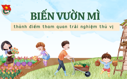 Cùng sống xanh số 99: Muốn sống hòa mình với thiên nhiên, cô gái biến miếng đất cằn thành khu vườn tuyệt đẹp