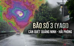 Cuồng phong bão số 3 (YAGI) càn quét Quảng Ninh - Hải Phòng, gió mạnh dữ dội