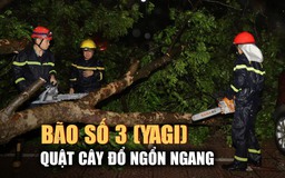 Bão số 3 (Yagi) giảm cấp, cây cối ngổn ngang đường phố Hà Nội