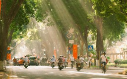 Cây xanh ở Hà Nội gãy đổ sau bão Yagi: Nhiều người tiếc nuối vì các cây biểu tượng không còn nữa