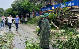 Hà Nội: Bão Yagi quật đổ gần 17.400 cây xanh, 3 người chết