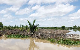 Kiên Giang: Thêm 1 người bị xử phạt 500 triệu đồng vì chiếm đất đầm Đông Hồ