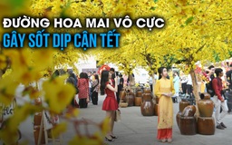 Đường hoa mai vô cực vừa mở cửa đã gây sốt, hẻm nhỏ 'chơi lớn' trang hoàng tết