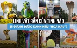 Linh vật khắp nơi đọ sắc tìm danh hiệu 'hoa hậu rắn': Có một đại diện vừa nhìn đã mê