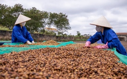 Nông nghiệp bứt phá