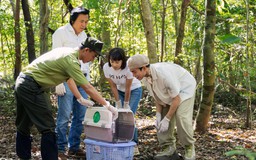 Hành trình 'trở về nhà' đầy cảm xúc của các loài động vật hoang dã