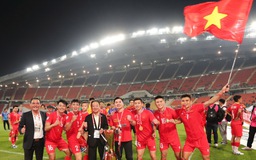 Hậu AFF Cup 2024: Đội tuyển Việt Nam được thưởng 42 tỉ đồng, chia thế nào?