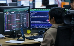 Làm giá cổ phiếu, 'đội lái' sử dụng 92 tài khoản giao dịch