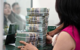 'Cá nhân chỉ cần quan tâm phải nộp thuế với 2 dòng tiền: Lương và kinh doanh'