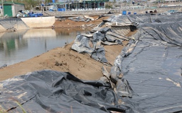 Bão chồng bão cuốn bay những cánh đồng tiền tỉ