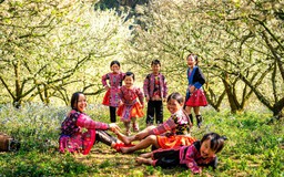 Rung động trước một Việt Nam tươi đẹp