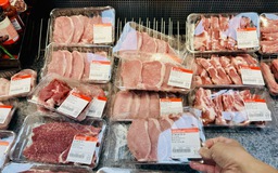 Giá heo hơi hôm nay 14.10.2025: Heo hơi và heo giống cùng giảm
