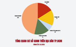 Sau sáp nhập, TP.HCM có bao nhiêu trường trung cấp, cao đẳng?