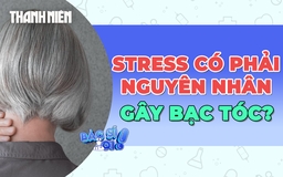 Có phải căng thẳng là nguyên nhân khiến tóc bạc sớm?