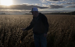 Ông Trump dọa trả đũa Trung Quốc chuyện ngừng mua đậu nành Mỹ